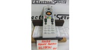 Haier HL19KN1  remote control .